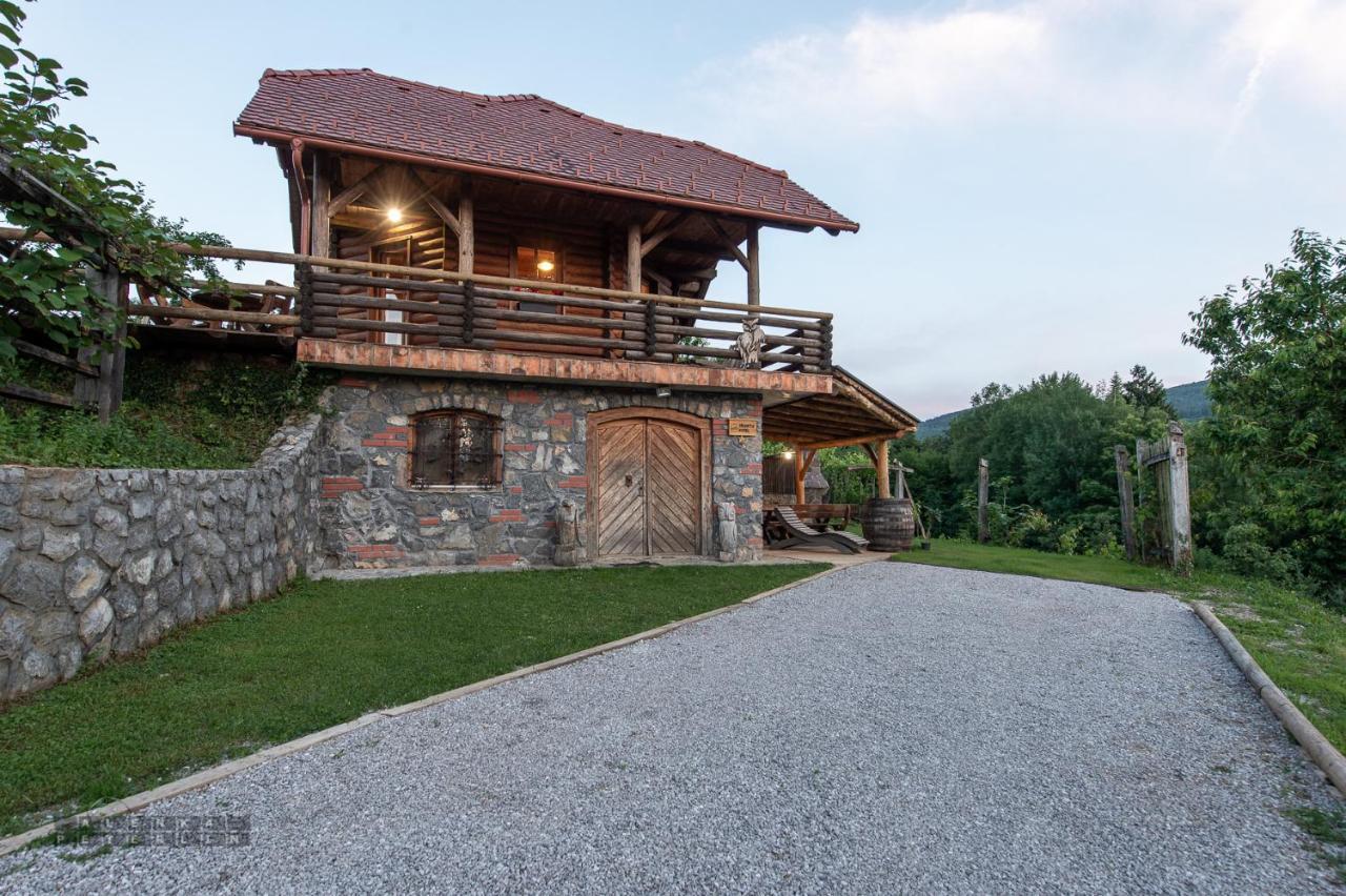 Zidan'Ca Rosel Apartment Dolenjske Toplice Exterior photo