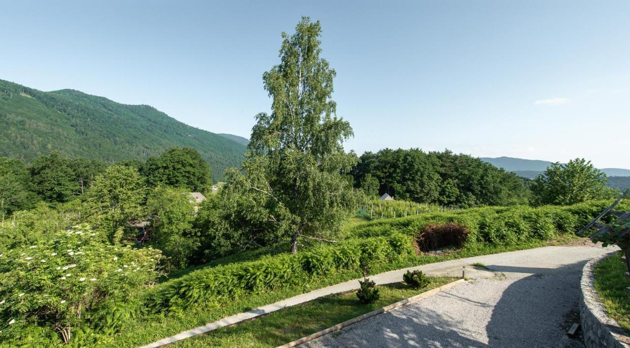 Zidan'Ca Rosel Apartment Dolenjske Toplice Exterior photo