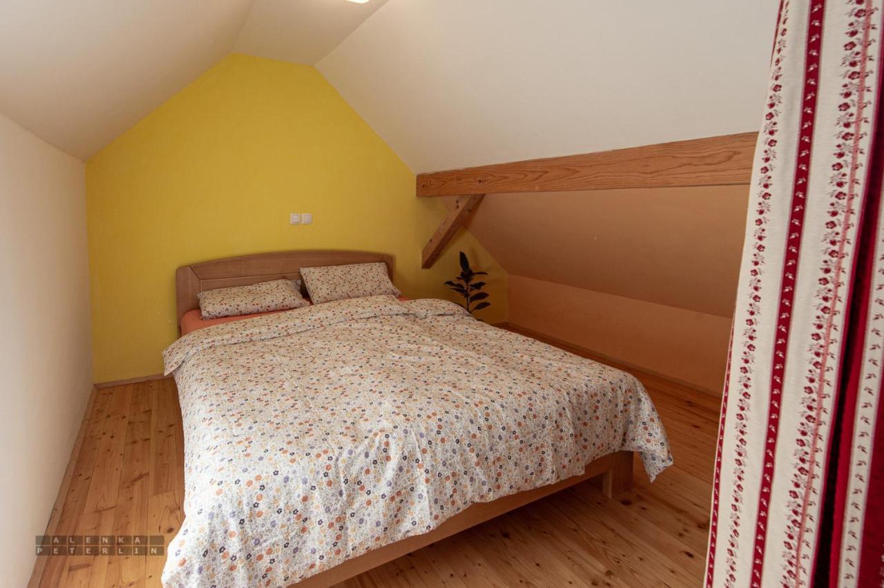 Zidan'Ca Rosel Apartment Dolenjske Toplice Exterior photo