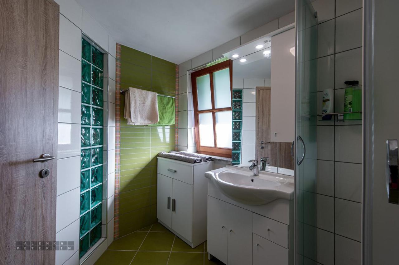 Zidan'Ca Rosel Apartment Dolenjske Toplice Exterior photo