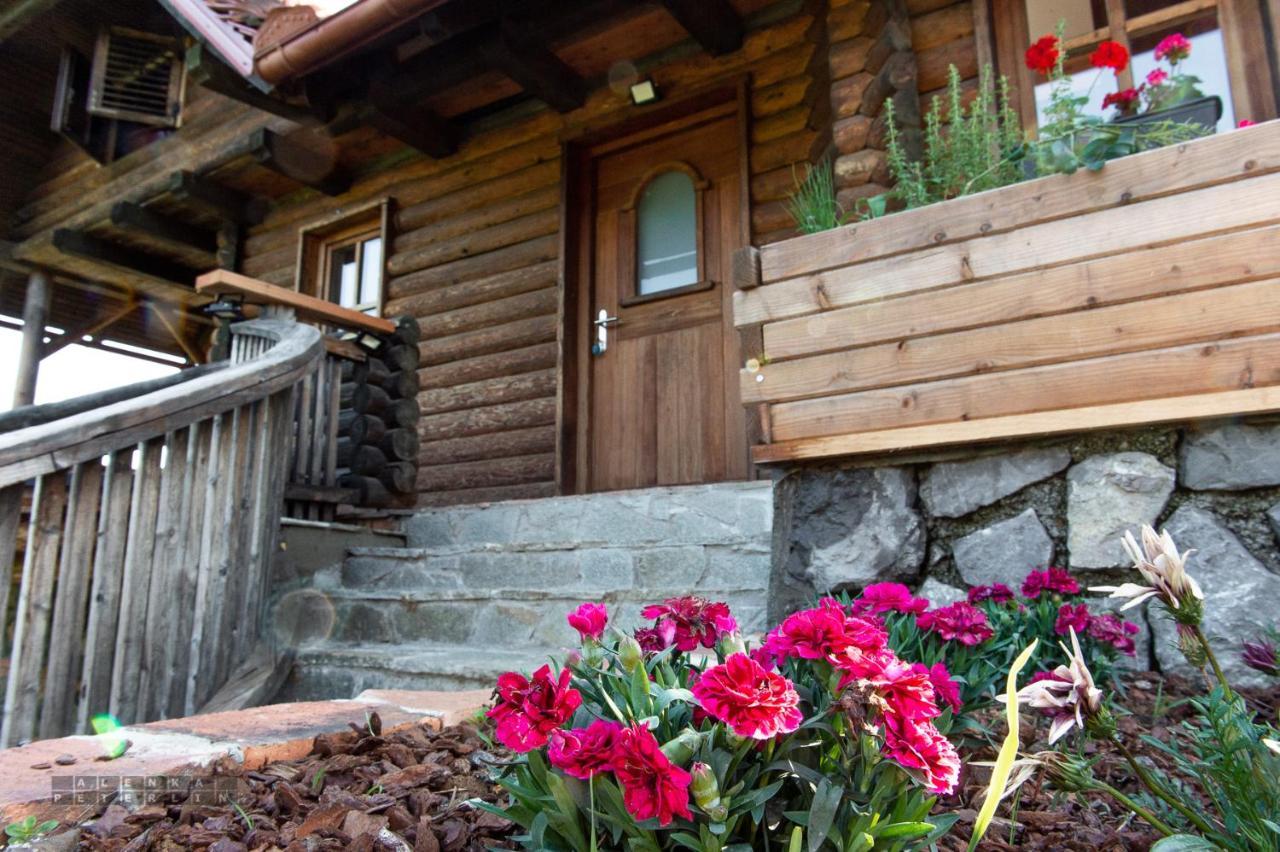 Zidan'Ca Rosel Apartment Dolenjske Toplice Exterior photo